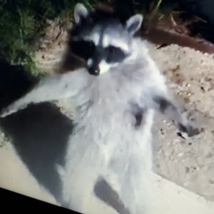 Meet your Posher, Josh